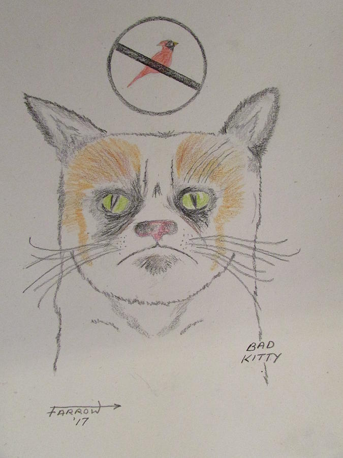 Bad Kitty Drawing by Dave Farrow