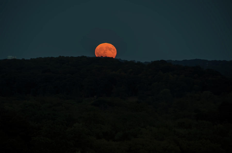 Bad Moon Rising Photograph by Bill Cannon