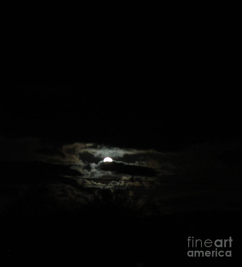 Bad moon rising Photograph by Marie Neder