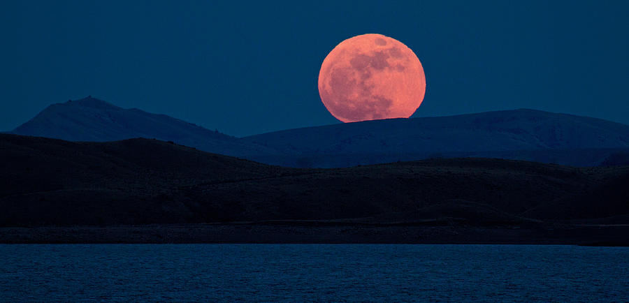 Bad Moon Rising Photograph by Sandy Sisti
