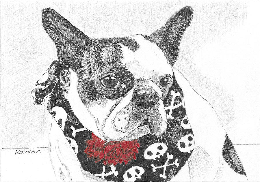 Bad to the Bone Drawing by Arlene Crafton