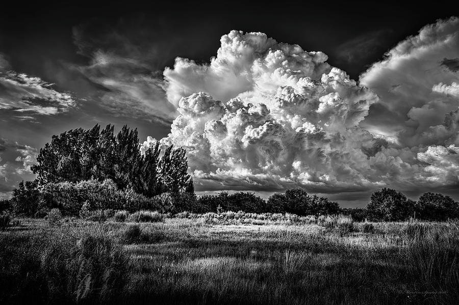 Nature Photograph - Bad Weather b/w by Marvin Spates