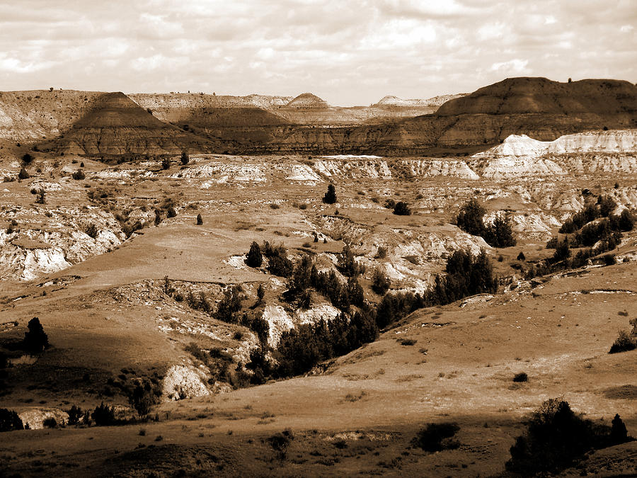 Badlands and Shadows Photograph by Cris Fulton