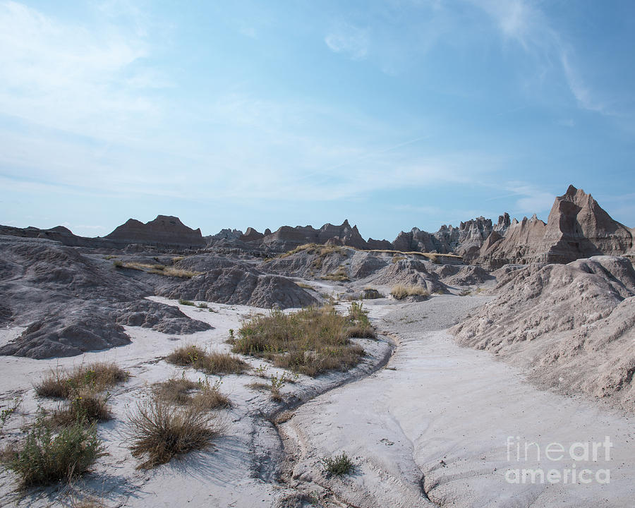 Badlands Desolation Photograph by Steven Natanson