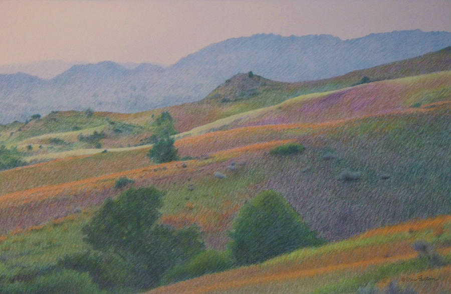 Badlands in July Pastel by Cris Fulton