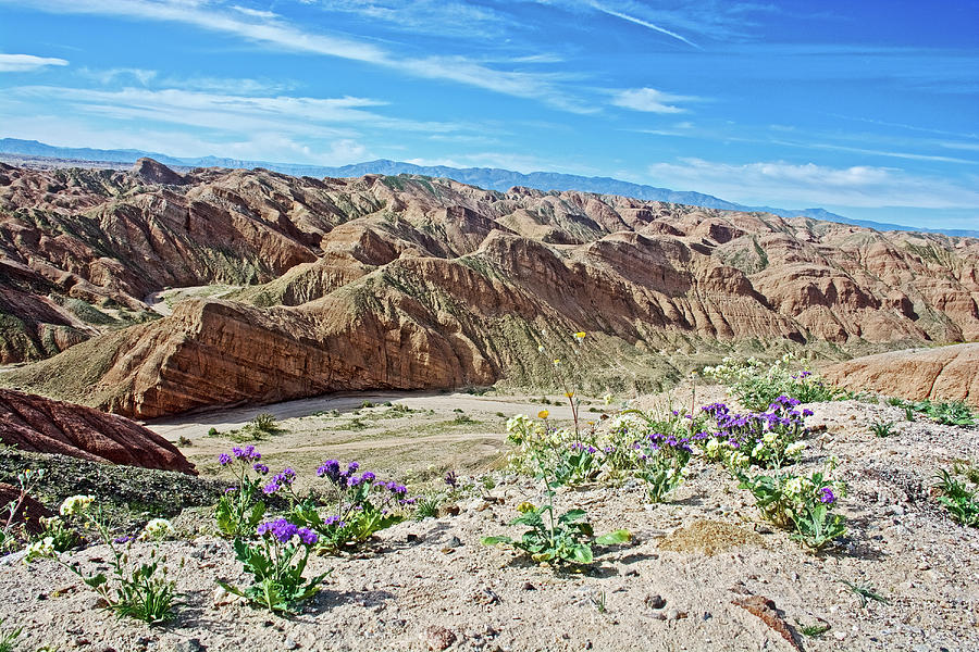 Badlands of Anza-Borrego State Park-California Photograph by Ruth Hager