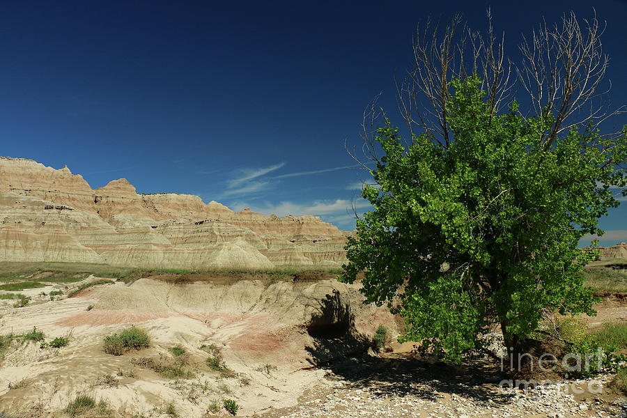 Badlands Rugged Landscape Photograph by Christiane Schulze Art And Photography