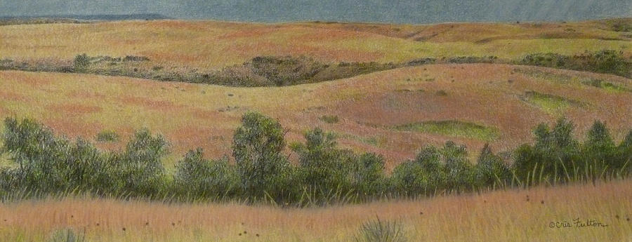 Badlands Slope with Trees Drawing by Cris Fulton