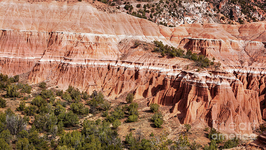 Badlands Utah Red Cliffs Photograph by David Millenheft