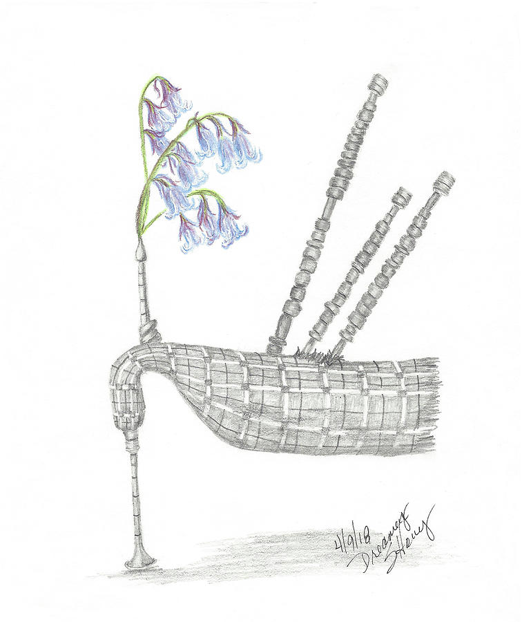 Bagpipes And Bluebells Drawing By Sherry Haney