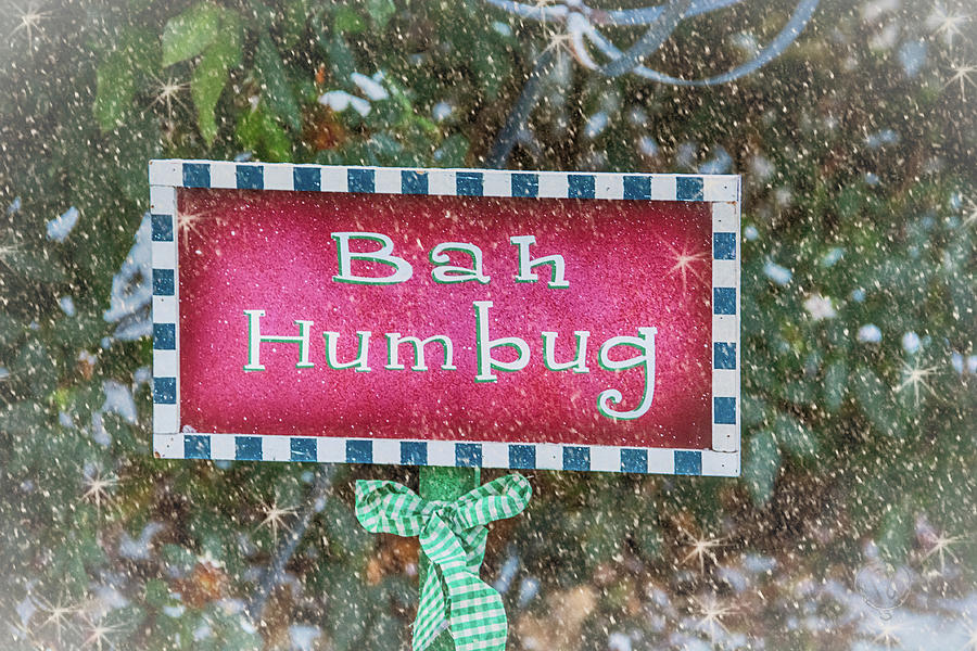 Bah Humbug Photograph by Pamela Williams