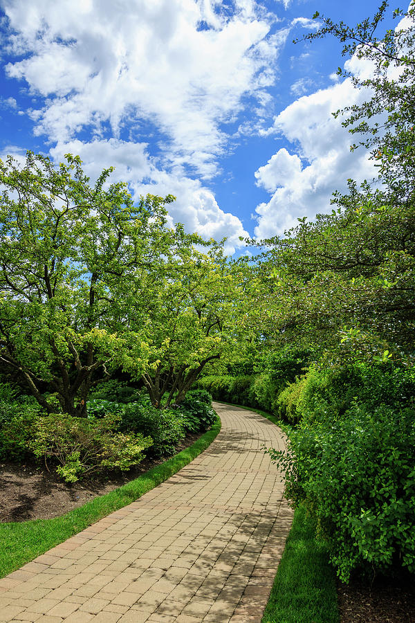 Bahai Temple Garden Path Photograph by Joni Eskridge