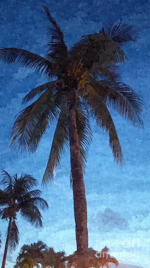 Bahamas Palms At Dusk Photograph