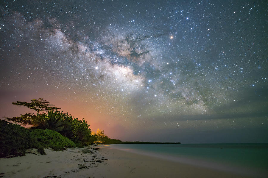 Tree Photograph - Bahamian Milky Way 2 by Jeremy Tamsen