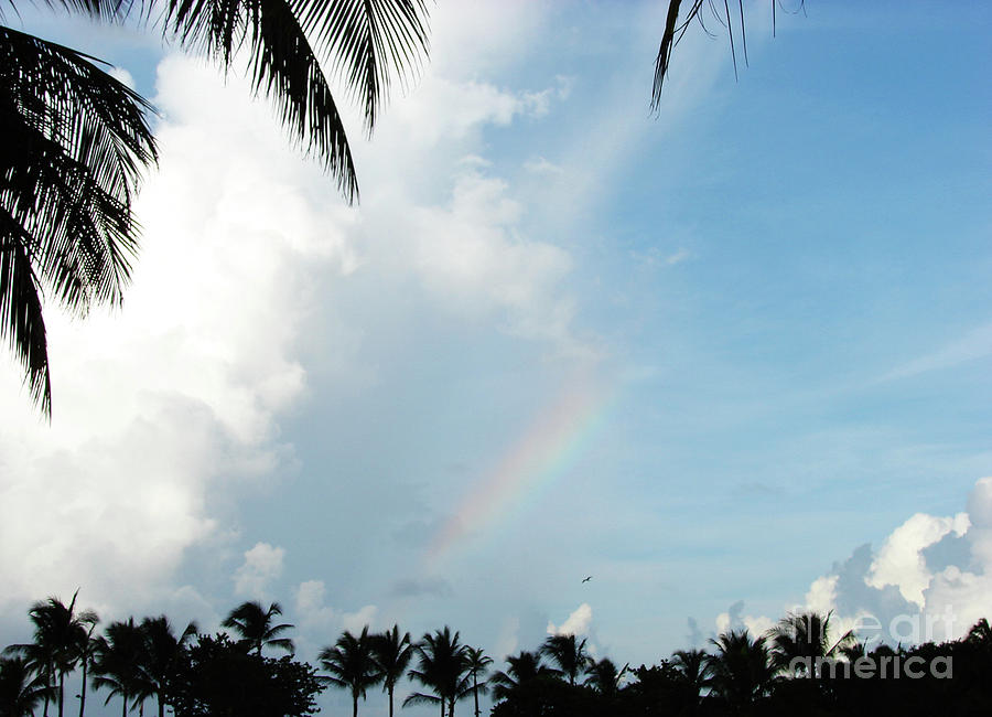 Rainbow Photograph - Bahamian Rainbow by Leara Nicole Morris-Clark