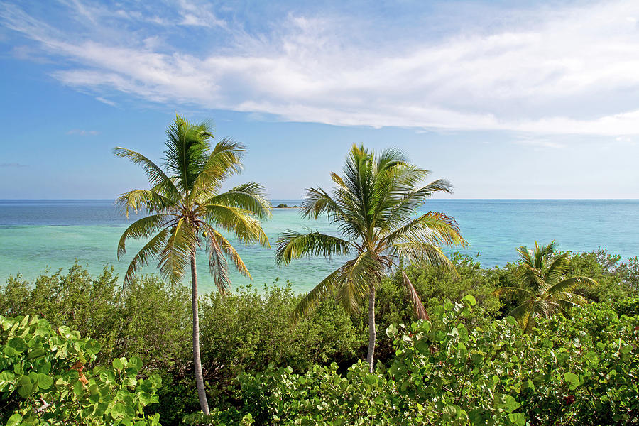 Bahia Honda State Park Photograph by Christina Carlson - Fine Art America