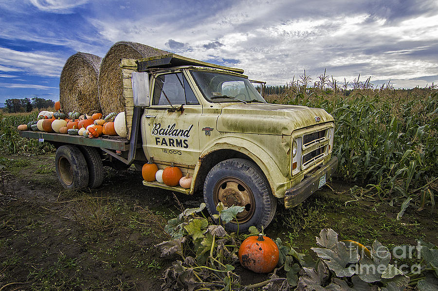 Fall Photograph - Bailand Farms Chevy by Sonya Lang