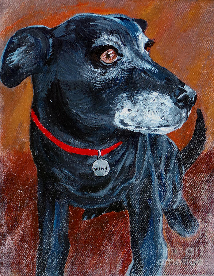 Bailey Painting by Deb Arndt