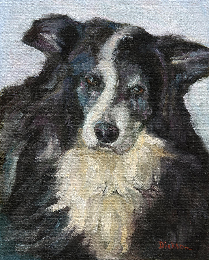 Bailey by Jeff Dickson Bailey by Jeff Dickson