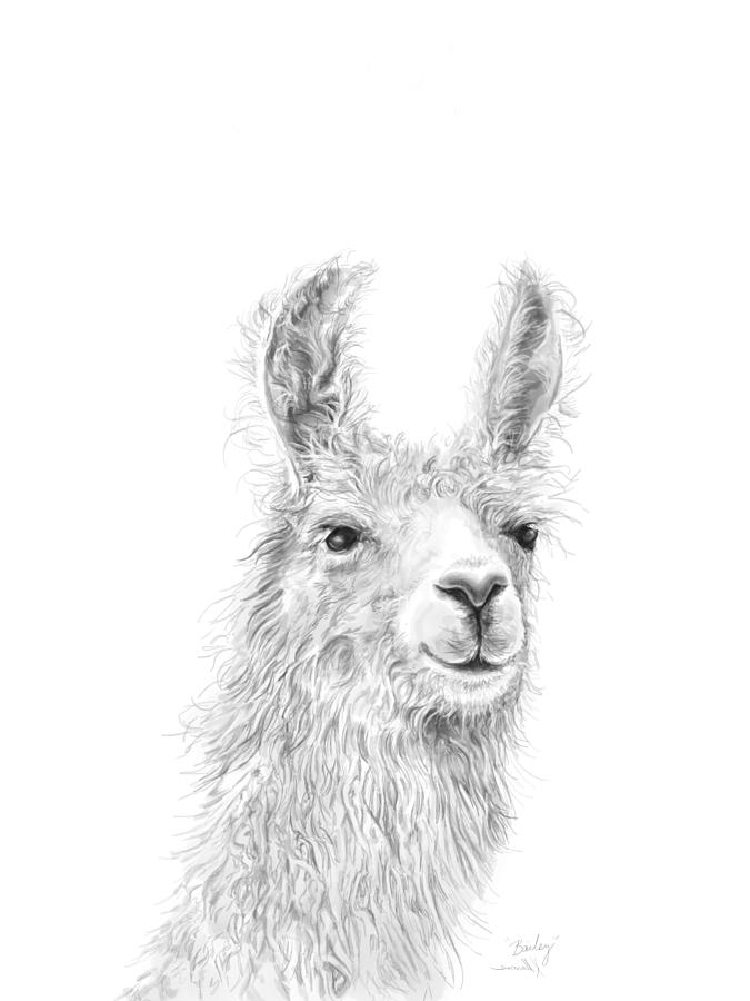 Llama Drawing - Bailey by Kristin Llamas