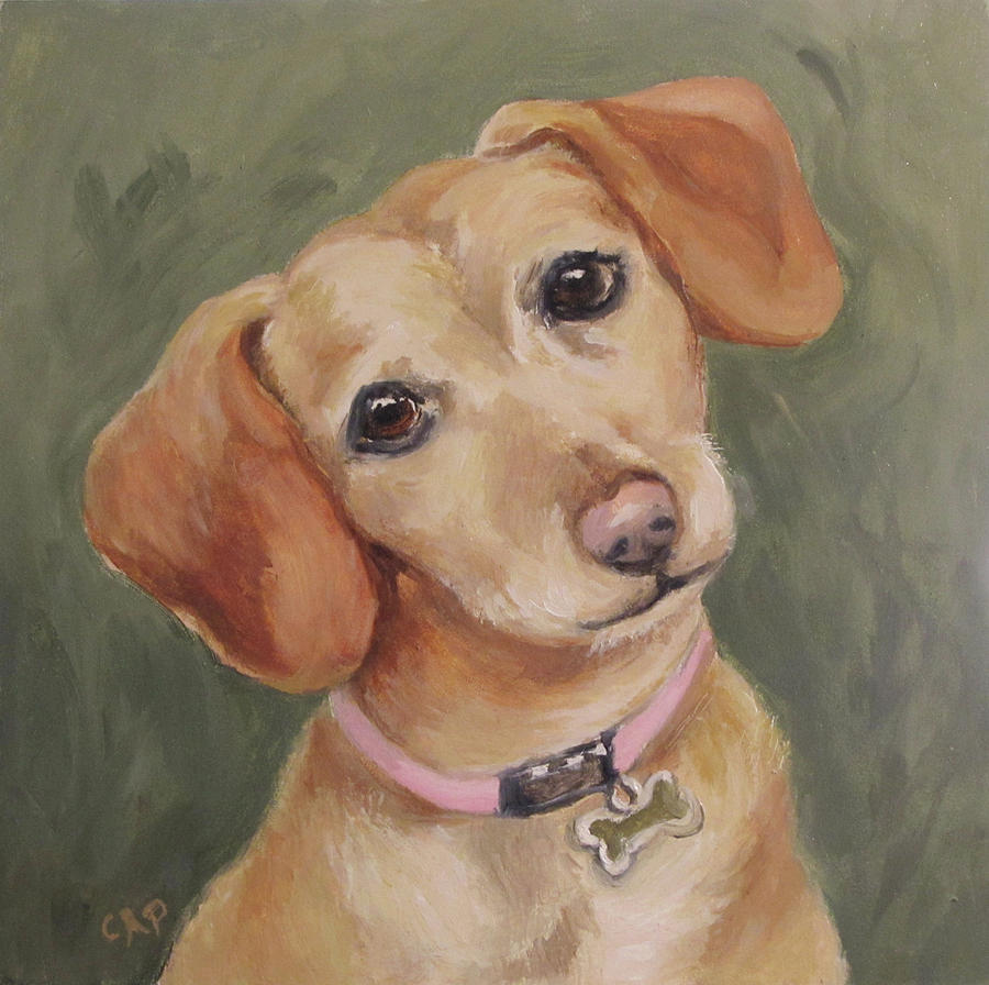 Bailey - The Chiwienie Painting by Cheryl Pass
