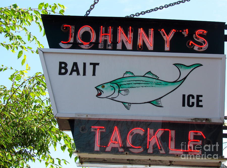Bait and Tackle Photograph by Beth Saffer