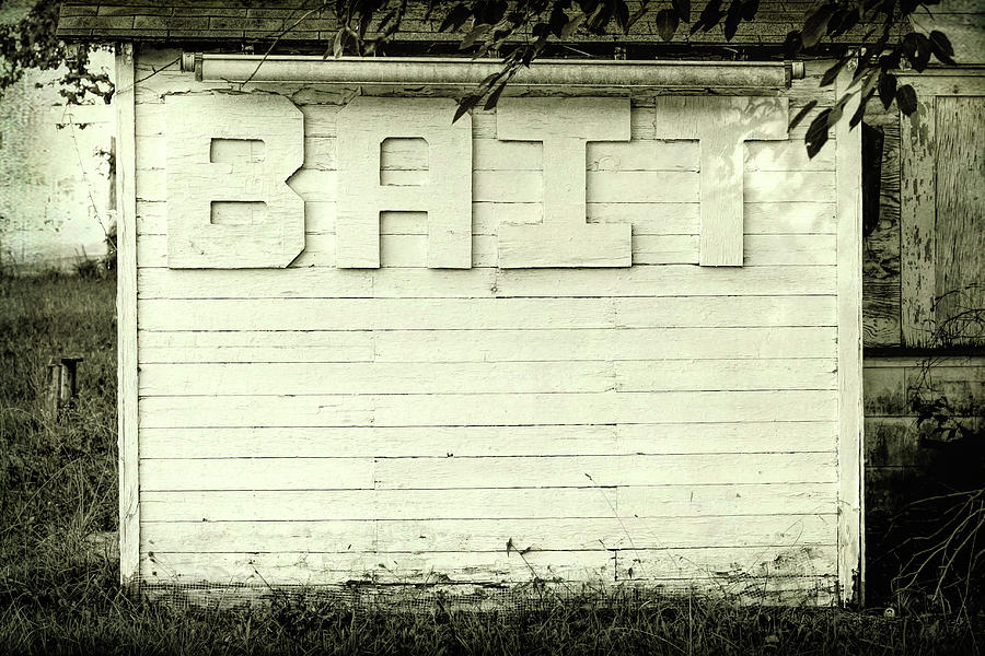 Bait Sign Fishing Black and White Photograph by Terry DeLuco