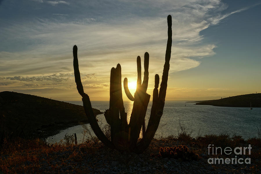 Baja California Sur Sunset Photograph by Brian Kamprath