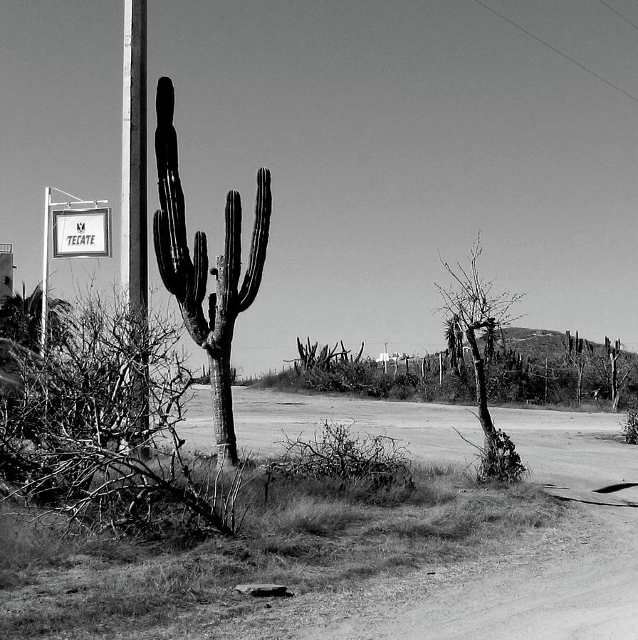 Baja Photograph by Duncan Davies