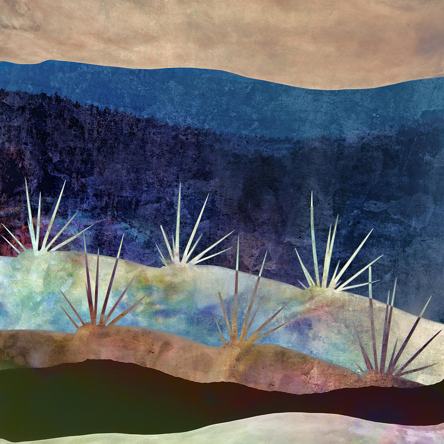 Baja Photograph - Baja Landscape Number 2 by Carol Leigh Baja Photograph - Baja Landscape Number 2 by Carol Leigh