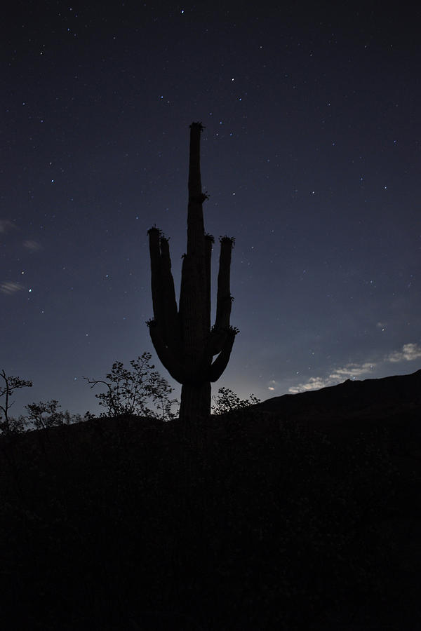 Baja Moon Photograph by Everett Bowers