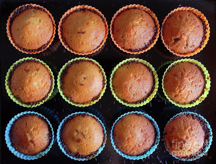 Baked Cupcakes Photograph by Carlos Caetano