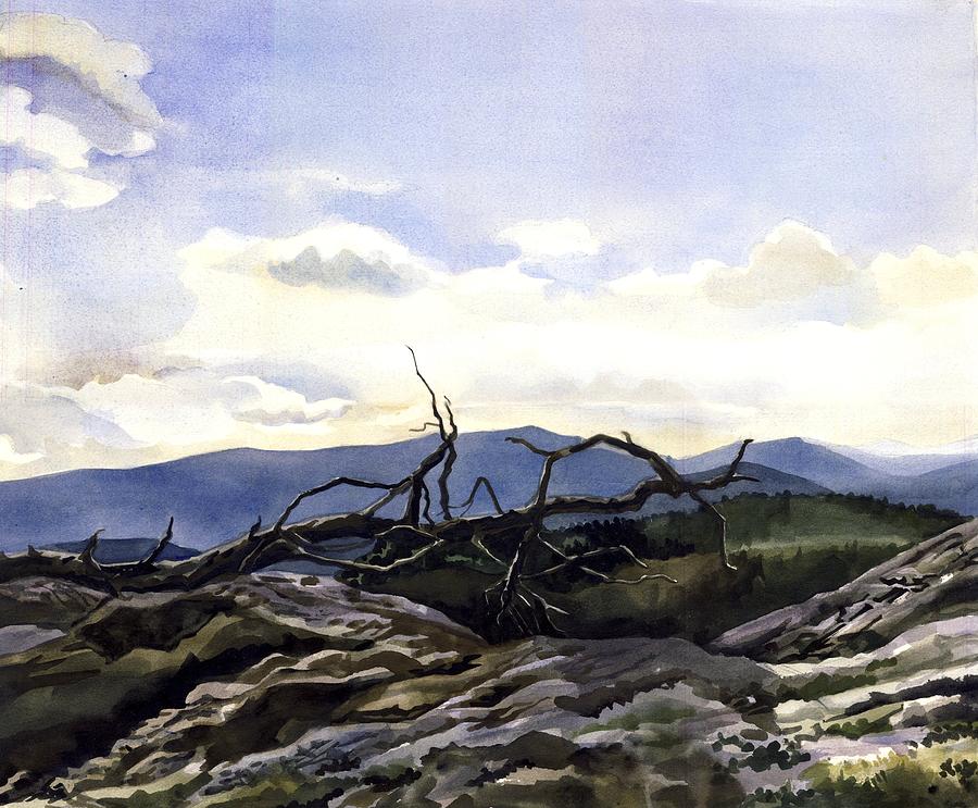 Baker Dam Colorado Painting by Alfred Ng