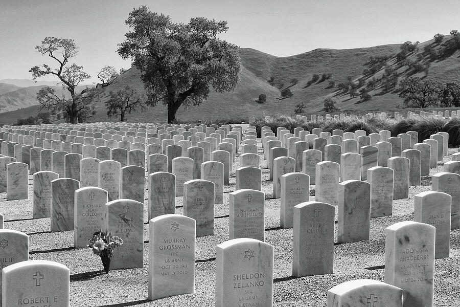 Bakersfield National Cemetery in Black and White Photograph by Ram Vasudev