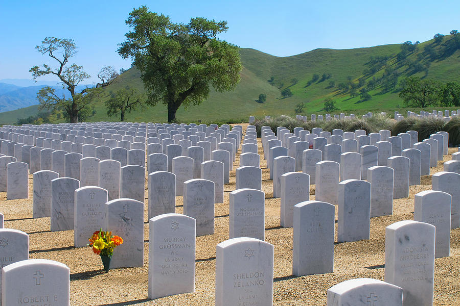 Bakersfield National Cemetery Photograph