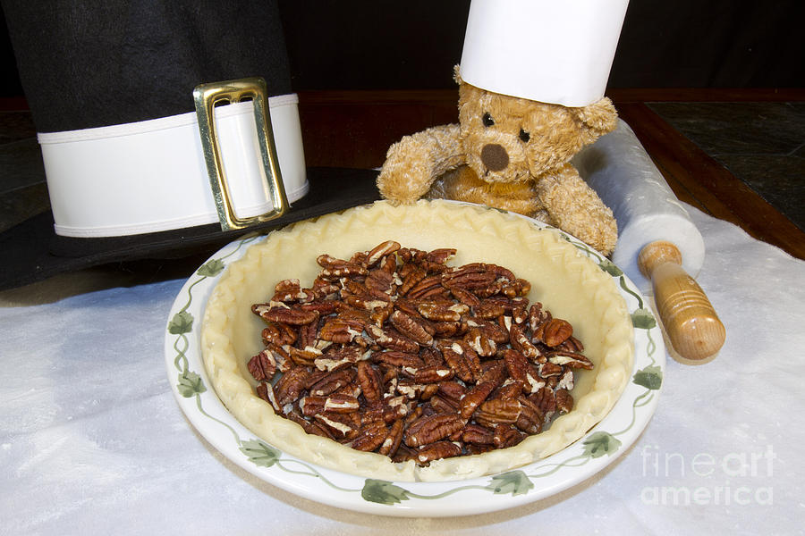 Baking Bear making Thanksgiving Pumpkin Pie Photograph by Karen Foley