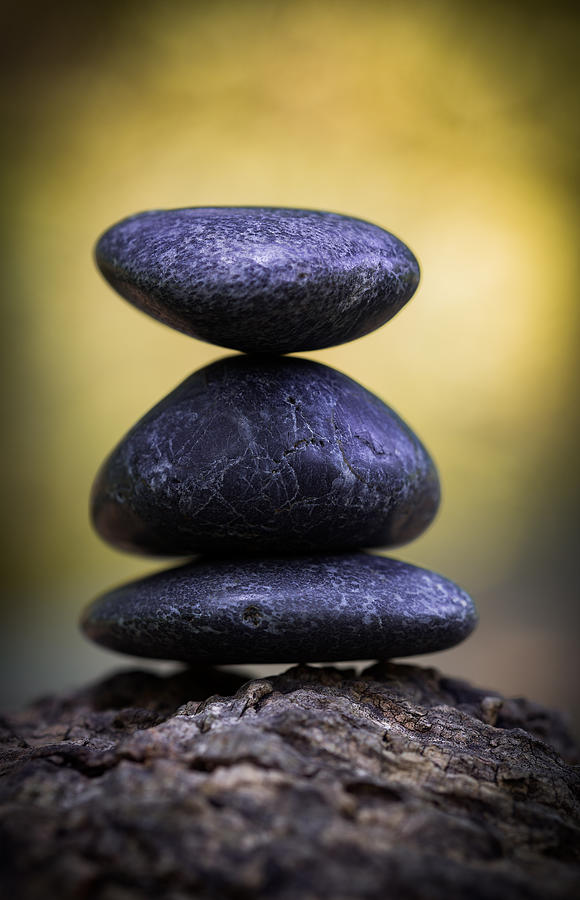 Balance Photograph by Dale Kincaid