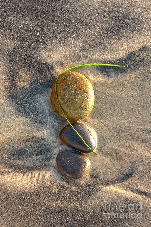 Nature Photograph - Balance of Nature by Julia Hiebaum