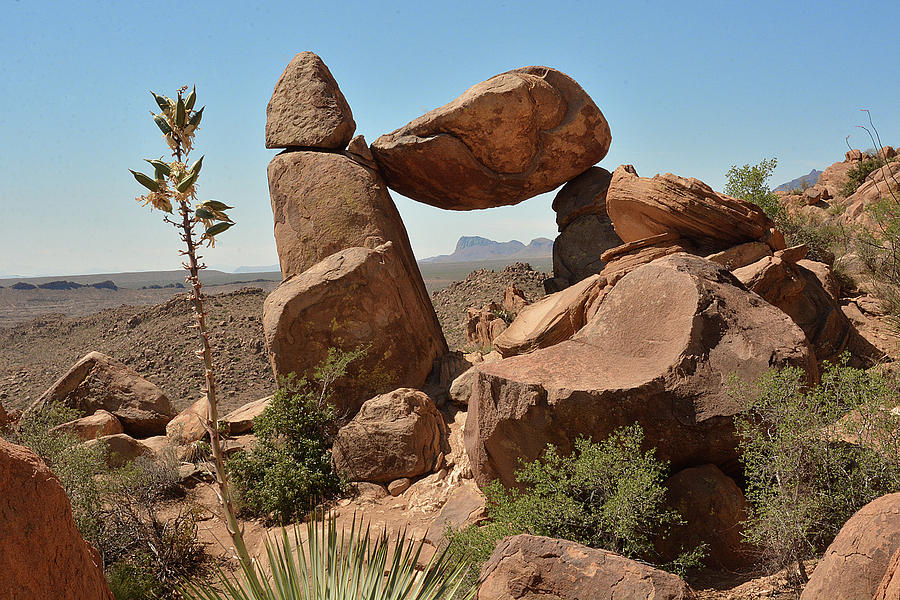 Balanced Rock Photograph by Alan Lenk