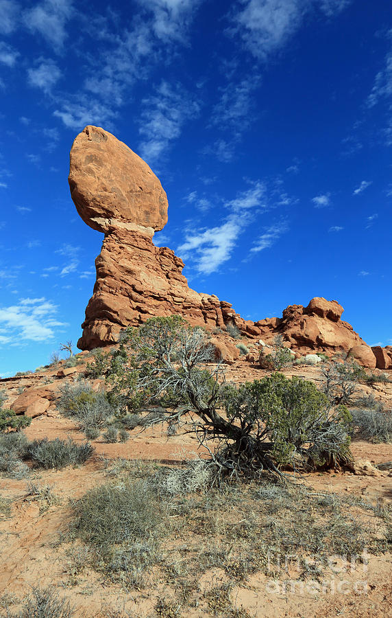 Balanced Rock and Desert Tree Photograph by Mary Haber