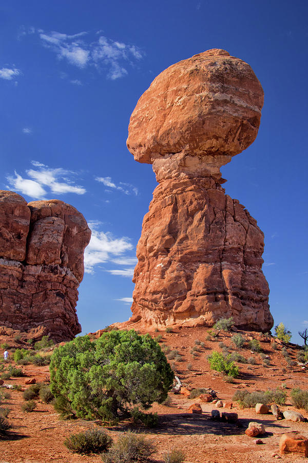 Balanced Rock in Arches National Park Photograph by Carolyn Derstine
