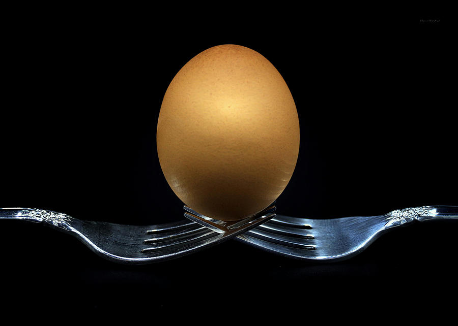 Balancing Egg Photograph by Suzanne Stout