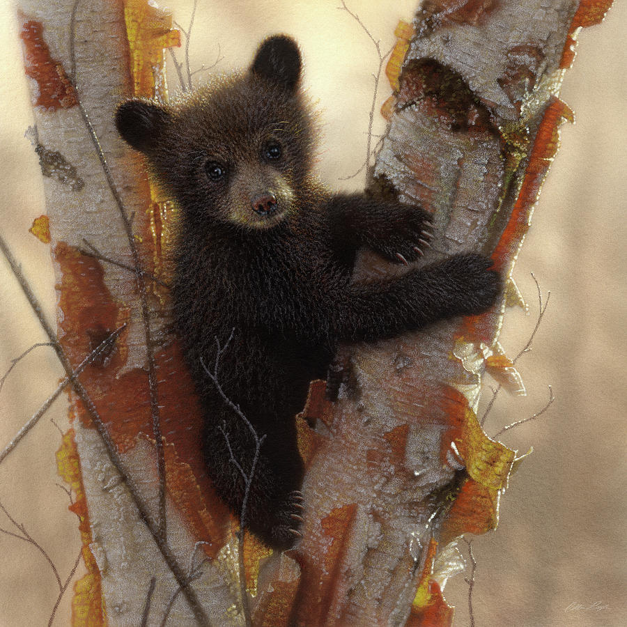 Black Bear Cub - Curious Cub Painting by Collin Bogle