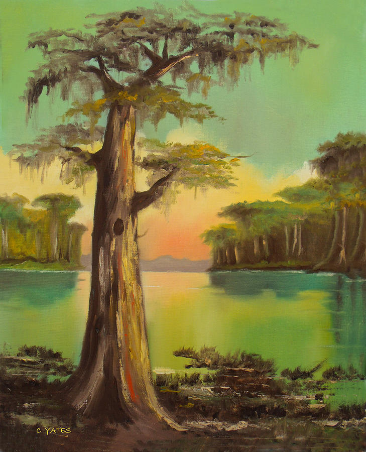 Tree Painting - Bald Cypress by Charles Yates