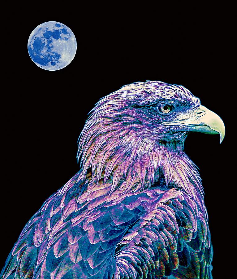 Bald Eagle  2 Painting by Celestial Images