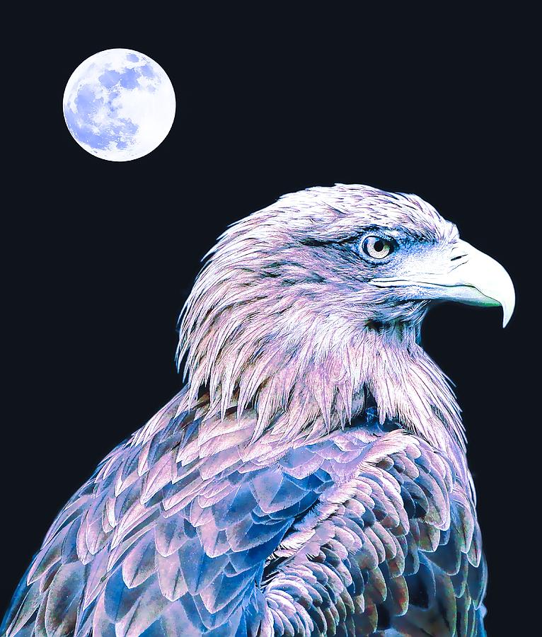 Bald Eagle 3 Painting by Celestial Images