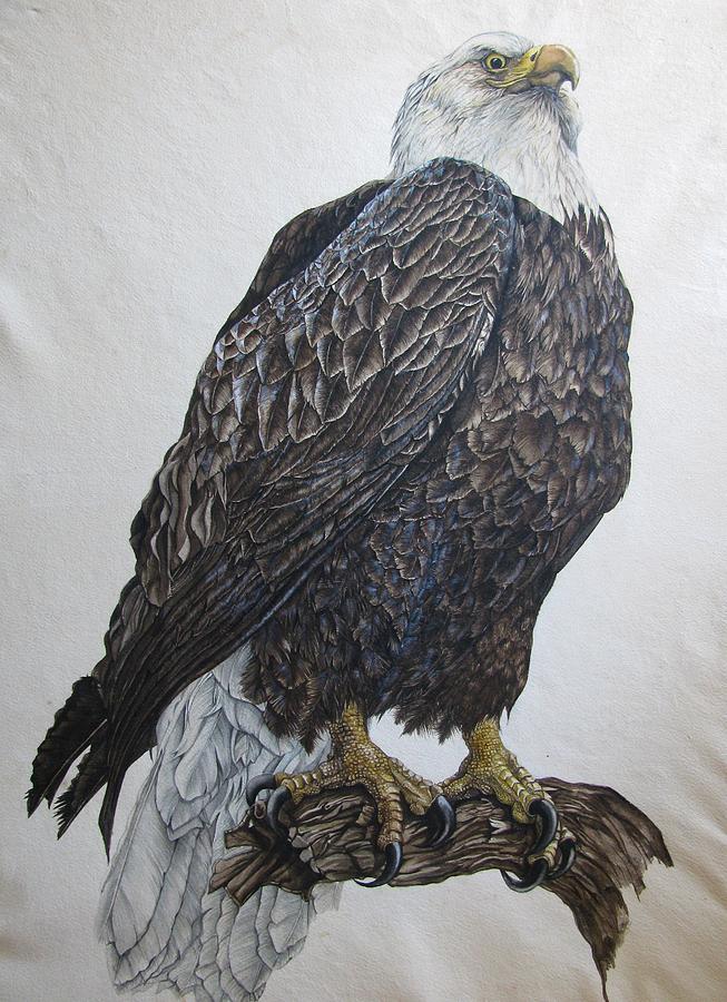 Bald Eagle Painting by Alfred Ng