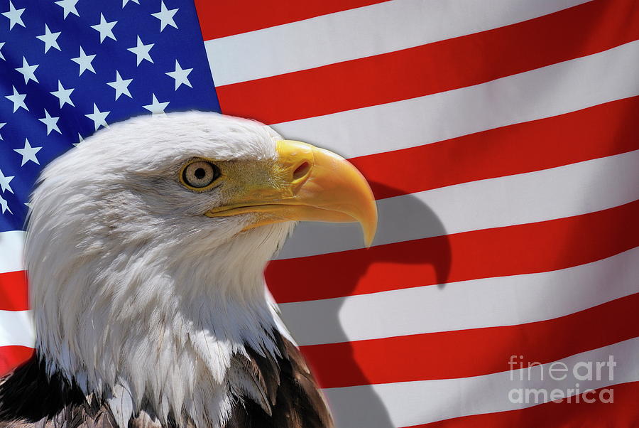 Bald eagle and US flag Photograph by Sami Sarkis