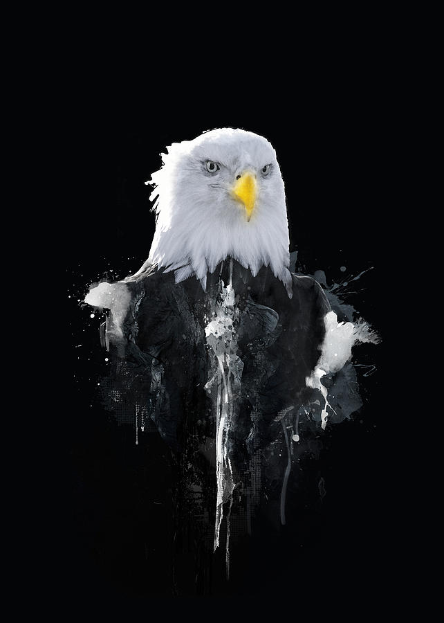 Eagle Mixed Media - Bald Eagle by BONB Creative