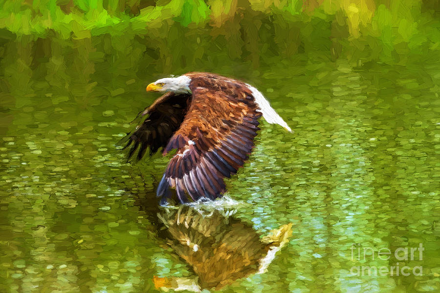 Bald Eagle cutting the water Photograph by Les Palenik